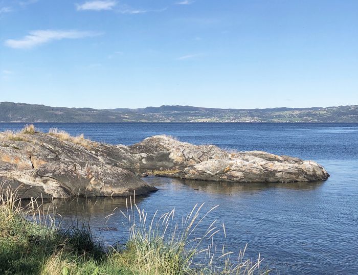 Img 9749 Red Fremside